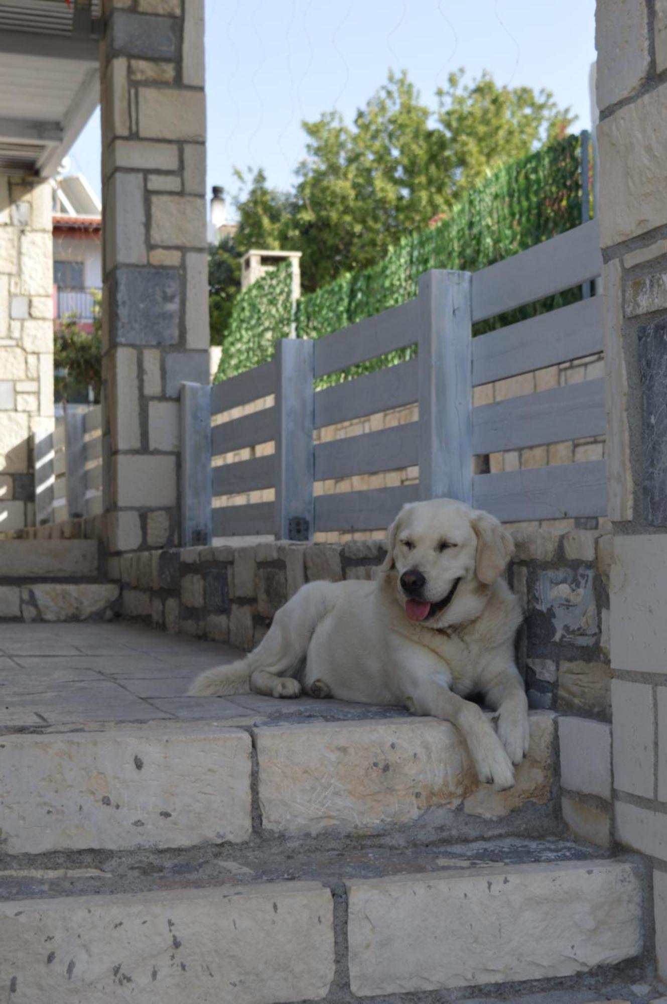 Aquarock Villa With Private Pool Prassas Exterior photo